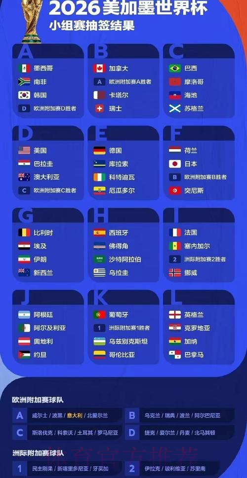 2026年世界杯比赛结果深度分析